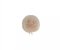 Windbubble BBI-L04 beige