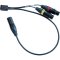 Connbox CB3 (2XLR-3F)