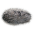 Furs