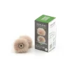 THE Windbubble PRO (TWIN PACK) - XS, BEIGE