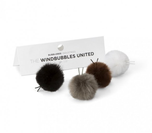 The Windbubbles United - 1