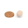The Microphone foam for lavalier mics - XS, beige - 10pack